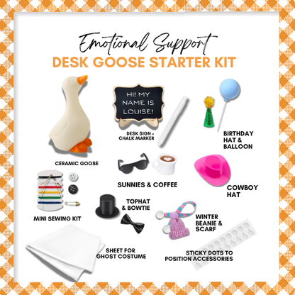 PREORDER - Clever Louise Desk Goose Starter Kit