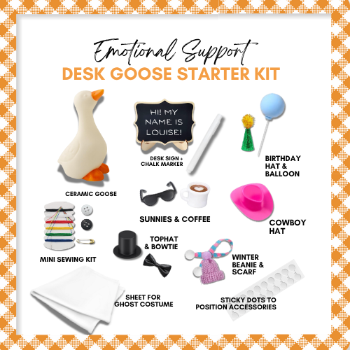 PREORDER - Clever Louise Desk Goose Starter Kit