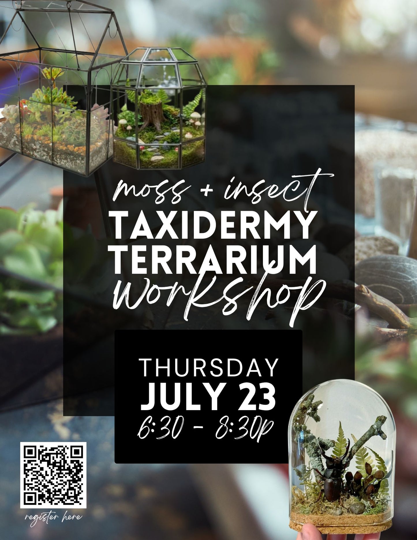 Insect Taxidermy + Moss Art Terrarium Workshop - July 23