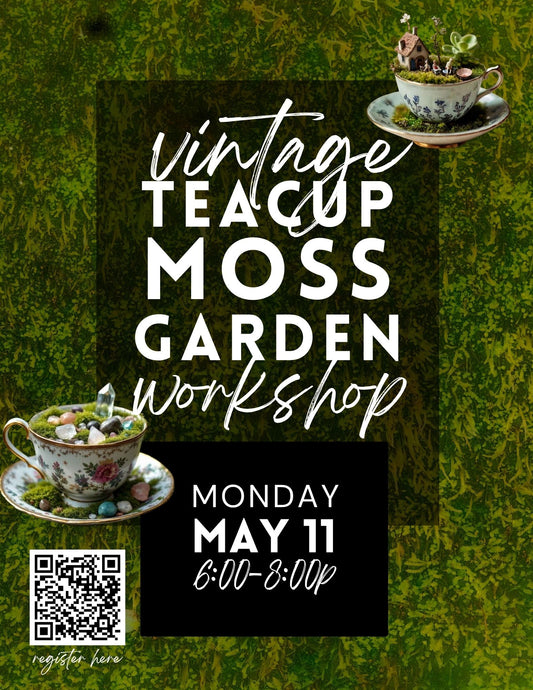 Vintage Teacup Fairy Gardens - May 11